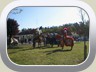 photo_II_004-1