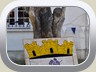 012-DSC_0325