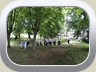 Bouquet gisors -16