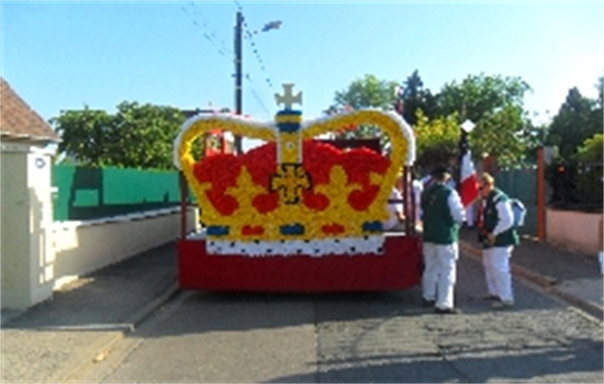 SAM_1161