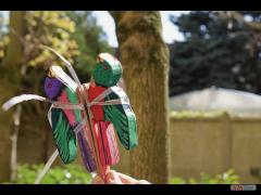 Abat Oiseau 2017 D4