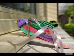 Abat Oiseau 2017 D4
