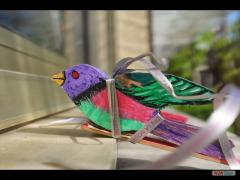 Abat Oiseau 2017 D4