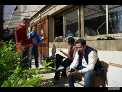 Abat Oiseau 2017 D4